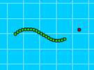 Skinny Snake