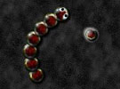 Snake Classic